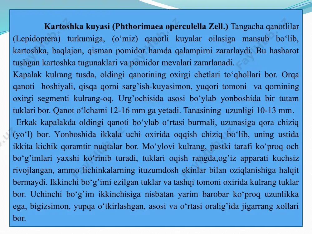 maydonlardagi zararlangan kartoshka palagini yig’ishtirib olish, ekindan bo‘shagan maydonlarni ikki yarusli qilib chuqur shudgorlash, qish kunlarida yaxob suvi berish. kuya ozuqasi bo‘lgan asosiy ekinlar (pomidor, baqlajon) ekilgan joylarda yonma-yon yoki oldin ekilgan dalalarga ham takroriy ekish man etiladi. lichinkalarni kartoshka tuganagi zararlashining oldini olish uchun ekin qator oralari kultivatsiya qilinadi va chopiladi. bunda tuganak usti 5 sm qalin tuproq bilan ko‘miladi. o‘simlik tuproq osti qismi zararlanligi kutilganda sarg’aygan kartoshka poyasi hosilni yig’ishtirishdan 1 hafta oldin o‘rib olinadi va begona o‘tlar bilan birga yoqib yuboriladi. ekindan bo‘shagan maydonlarda qolgan qishlovchi qurtlarni yo‘qotish maqsadida tuproq omochda 25-30 sm qilib chuqur shudgorlash,qish kunlarida yaxob suvi berish. urug’li kartoshka ekishdan oldin 1 tonna kartoshkaga 100 l suv, 2 l lepidotsid, 500 ml planriz (zamburug’ kasalligiga qarshi preparat), bilan ishlov beriladi va quritiladi. 11.2. fitoftoroz yoki kartoshka chirishi kartoshka yetishtiriladigan ko‘pgina hududlarda uchraydi. kasallik kartoshkaning barg, poya, tugunak, ba’zan g’uncha va reza mevasini zararlaydi. barglarda …