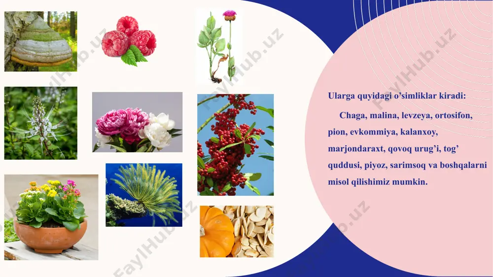biologik aktiv moddalar olish texnologiyasi - Page 5