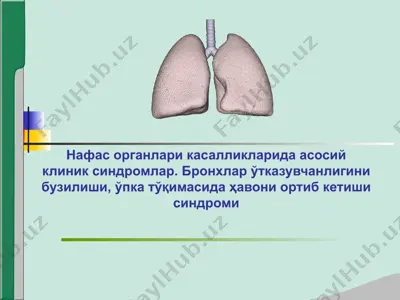 нафас органлари касалликларида асосий клиник синдромлар. бронхлар ўтказувчанлигини бузилиши — PPTX