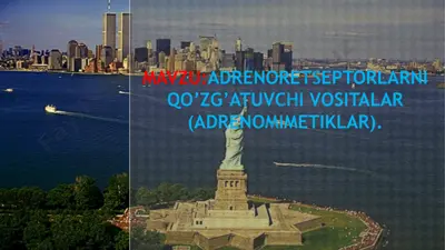 adrenoretseptorlarni qo’zg’atuvchi vositalar (adrenomimetiklar) — PPTX