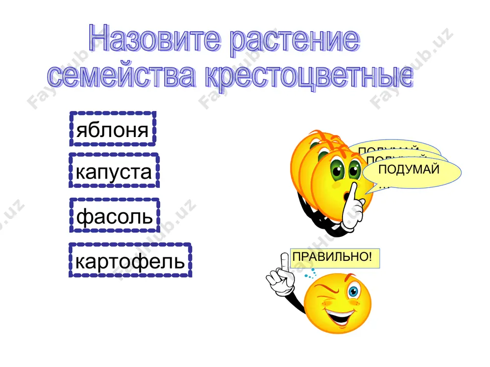 интерактивные тесты по теме "семейства растений" - Page 2