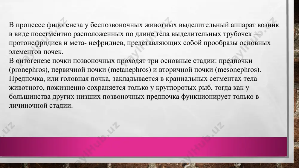 имо запастись водой), у них быстрее развивается обезвоживание организма на фоне высокой температуры, кишечных и др. инфекций, ребенок может погибнуть. с возрастом изменяется объем мочевого пузыря, частота мочеиспусканий и объем мочи. вместимость мочевого пузыря у новорожденных около 50 мл, к 3 мес. она удваивается, к году составляет примерно 200 мл, а к 9-10 годам достигает 400-700 мл, у взрослых – 600-900 мл. объем мочи при мочеиспускании до 6 мес. составляет примерно 30 мл, в возрасте 1 года – 60 мл, в 3-5 лет – 90 мл, в 7-8 лет – 150 мл, 10-12 лет – 250 мл. объем мочи за сутки в 1 мес. – 350-380 мл, в 1 год – 750 мл, начиная с 5 лет – 1 л, у взрослых – 1-1,5 л. в мальпигиевых тельцах под давлением происходит фильтрация плазмы крови, фильтрат проходит через эндотелиальную стенку капилляров клубочка и внутреннюю эпителиальную выстилку капсулы шумлянского—боумена, затем поступает в …