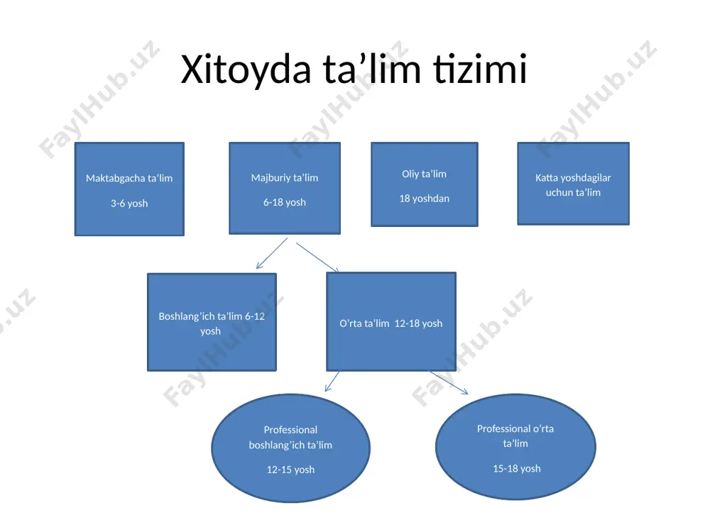 xitoyda ta’lim tizimi va menejmenti - Page 5