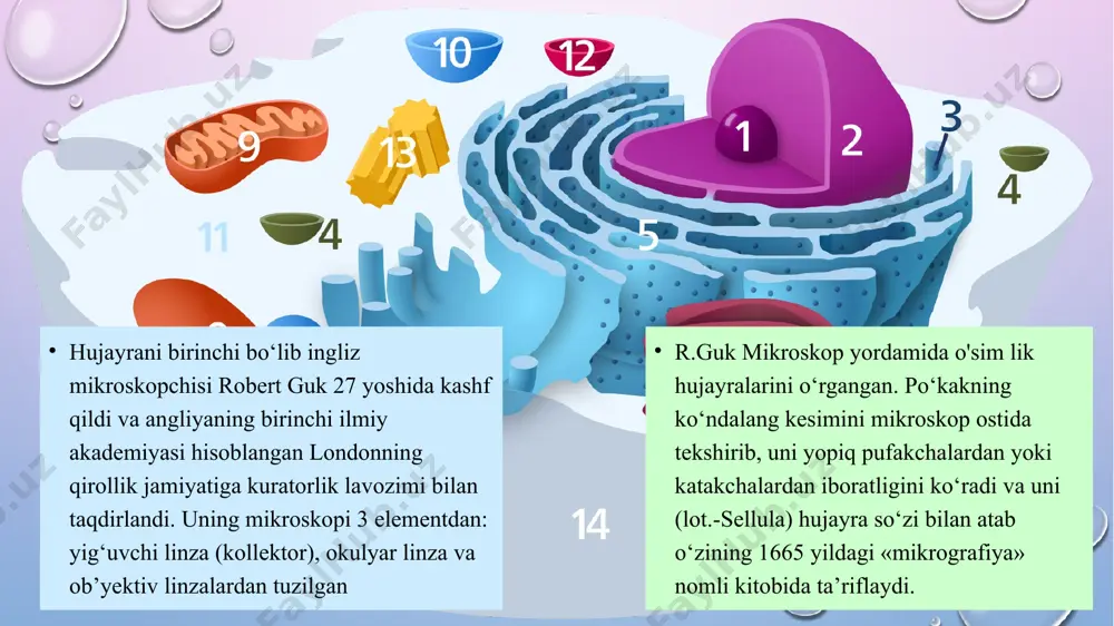 lar nervlar vositasida boshqariladi va o‘zaro munosabatda bo‘ladi. ontogenez - homila hosil bo‘lib, uning tana a’zolari rivojlana boshlagan davrdan qarilik davrigacha kuzatiladigan o‘zgarishlarni o‘rganadi. prenatal - ontogenez bo‘limi a’zolar shakllangandan boshlab, tug‘ilishgacha bo‘lgan davrdagi o‘zgarishlarni o‘rganadi. tayanch va harakat apparati tarkibiga suyaklar, bo‘g‘imlar va mushak tizimlari birlashadi. ichki a’zolar bo‘limi o‘z ichiga hazm, nafas va ichki a’zolar tizimini birlashtiradi. suyak turlari (tasnifi). odam skeleti joylashishiga ko‘ra quyidagi guruhlarga bo‘linadi: 1. tanadagi suyaklar: umurtqalar, qovurg‘alar, to‘sh suyagi. 2. kalla suyaklari: yuz qismi suyaklari, miya atrofidagi suyaklar. 3. yelka kamari suyaklari: kurak suyagi, o‘mrov suyagi. 4. qo‘l suyaklari: yelka, tirsak, bilak va qo‘l panjasidagi suyaklar. 5. chanoq suyaklari. 6. oyoq suyaklari: son, katta boldir, kichik boldir va oyoq panjasidagi suyaklar odam tanasidagi suyaklar joylashishiga qarab bir necha qismga bo‘lib o‘rganiladi: bosh, gavda, qo‘l va oyoq suyaklari. bosh suyagi 23 ta suyaklarning birikishidan tashkil topgan bo‘lib ikki qismga bo‘linadi: miya qutisi suyaklari va …