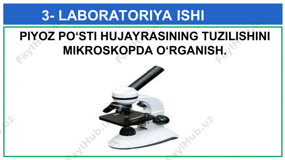 hujayra – tiriklikning asosi - Page 4