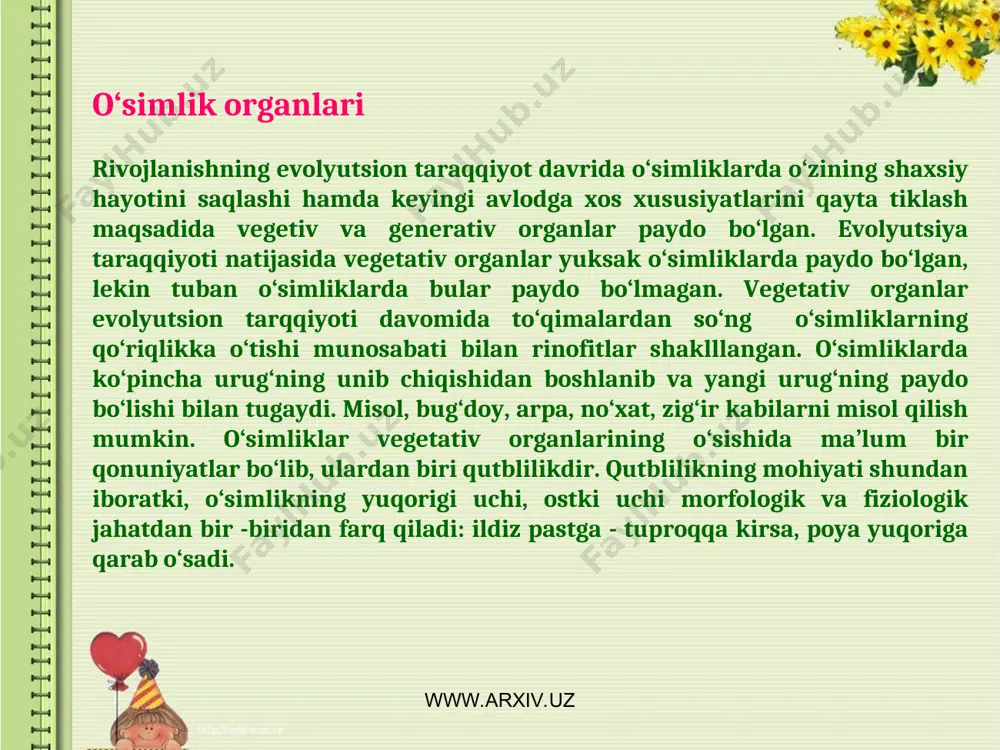 siy bosh ildizi 1,5-2 m bo‘ladi. yen ildizlari esa 20 m gacha bo‘ladi. saksovulni olsak ildizi yer yuzida bir marta shoxlanadi va 3.5-4m chuqurlikda yana bir marta shoxlanadi. www.arxiv.uz www.arxiv.uz idizda oziq moddalar xam to‘planishi mumkin. bunday ildizlarni ildiz mevalar-kroneplodi deb yuritiladi. m:sabzi, turp, lavlagi, sholg‘om, rediska va boshqalar. bunday ildiz mevalarni qiyofasini o‘zgartirgan ildizlar deb yuritiladi.(metamorfoz kornya). sabzi, turp, lavlagi ildiz mevalari asosiy bosh ildizdan xosil bo‘ladi. bundan tashqari yon ildizlardan xosil bo‘lgan ildiz mevalar ham uchraydi. m:kartoshka guli (georgin),parpi (akonit). qiyofasini o‘zgartirgan ildizlar xar xil qo‘shimcha vazifalarni bajarib turadi. ba’zi bir o‘simliklarda havo ildizi (vozdushnыy koren) bo‘ladi. havo ildizlari yordamida o‘simlik havodan namlik yutib turadi. bundan tashqari havo ildizi o‘simlikning tanasini tutib turishga yordam beradi. m: tropik o‘rmonlarda (daraxt ustida) yashaydigan epifit o‘simligining ildizi ingichka bo‘lib yuqoridan pastga qarab o‘sadi. buyining uzunligi 4-6 m, enining diametri 1-2 sm, jo‘xorida xam havo ildizi bor.felodendron o‘simligida xam havo ildizi bor. …