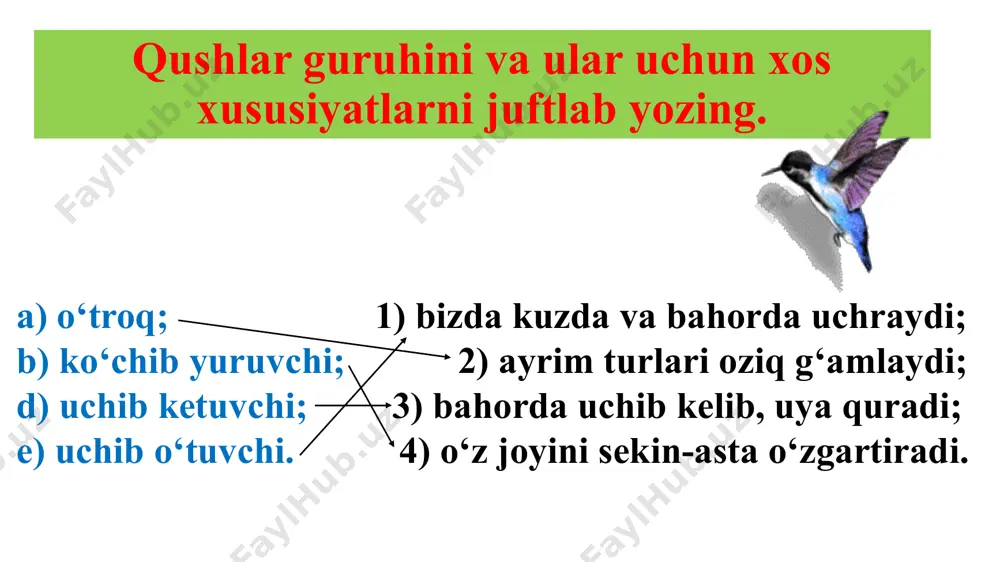 tlarning urug‘ini terib yeydi; jarliklar, qoyalar, tashlandiq imorat va baland binolarning chordoqlariga uya quradi. ko‘k kaptar xonaki kaptar zotlarining nasl boshi hisoblanadi. musichalar ko‘pincha oziq axtarib odamlar yashaydigan uylarga ham kirib qoladi. ular har xil don, sabzavot va mevalarning urug‘lari bilan oziqlanadi; juft bo‘lib yashaydi; yil davomida 5 marta bola ochadi. musicha ko‘k kaptar cho‘l qushlari. ochiq dasht va cho‘llarda pana joy topish qiyin. bu joylarda yashaydigan qushlar yerdan oziq qidiradi; yerga tuxum qo‘yib, bola ochadi. cho‘l qushlarining oyoqlari va bo‘yni uzun va baquvvat, patlari yer rangida bo‘ladi. bu hol ularga dushmanlaridan oson qochib qutulishiga va ularni uzoqdan payqashga yordam beradi. t u v a l o q l a r t u r k u m i. tuvaloqlar – yirik, tez yuguradigan qushlar, o‘zbekistonda uchraydigan yo‘rg‘a tuvaloqning patlari yer rangida bo‘lganidan uzoqdan ko‘zga tashlanmaydi. u yovvoyi o‘simliklar bargi, novdasi, urug‘lari, yerosti tuganaklari, har xil hasharotlar, kaltakesaklar va mayda kemiruvchilar …