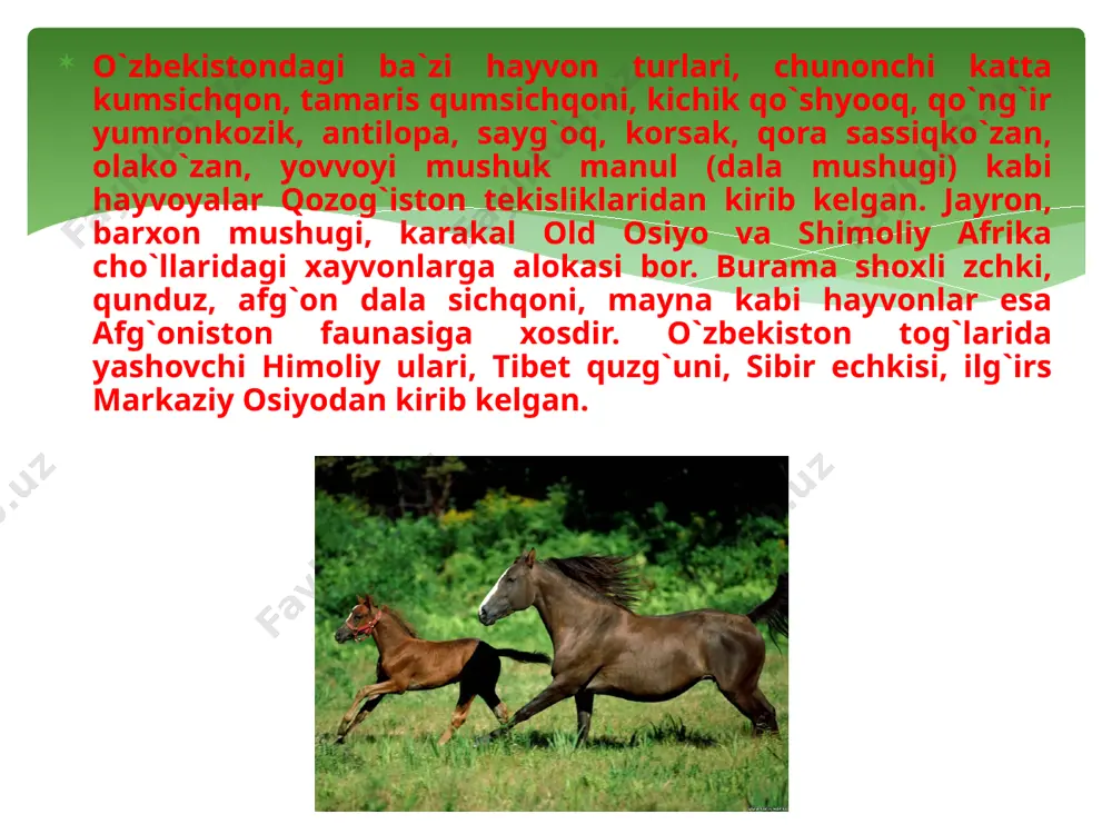 o`rta osiyo va o’zbekiston hayvonot dunyosi - Page 4