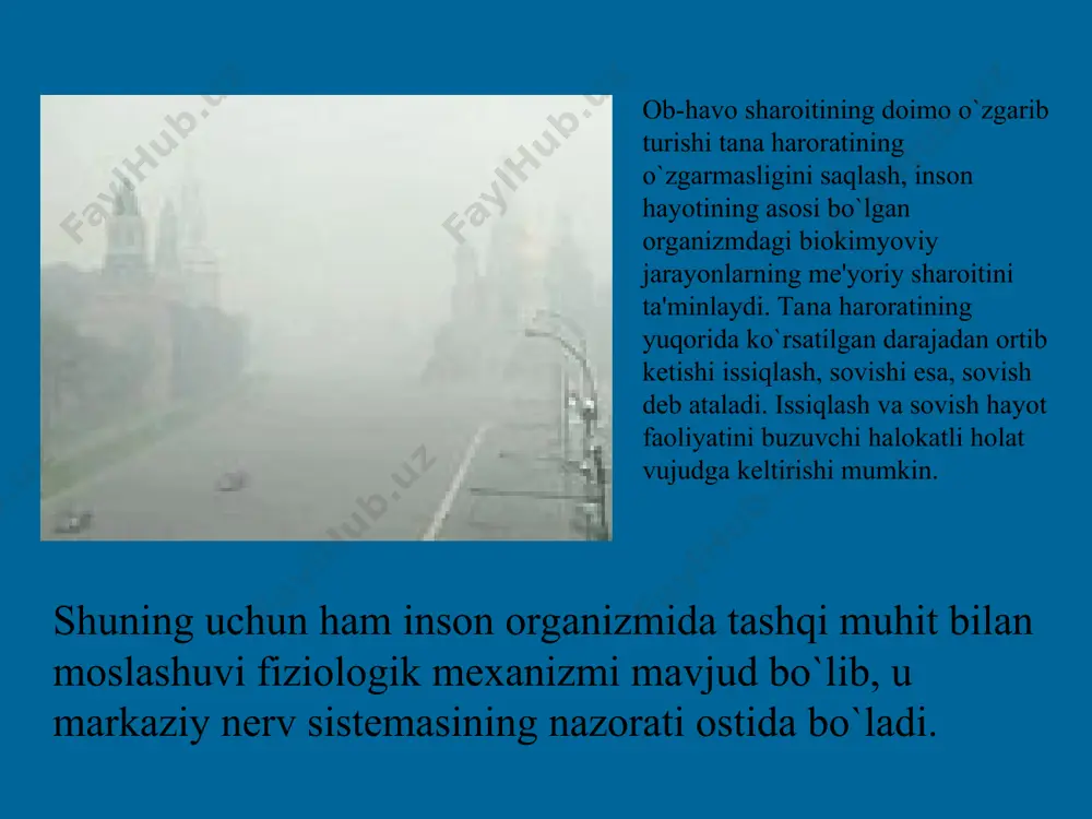 nooqilon a foydalanadi. insonlar tomonidan o`rmonlarning katta qismini kesilishi va o`simlik turlarining yo`q qilinishi.