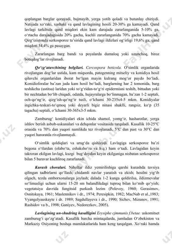 iya qilinadi. yuqori agrotexnikaga binoan yaxshi tayyorlangan yerga ekilgan va yaxshi parvarish qilingan nihollar zararlanmaydi yoki juda kam hollarda zararlanadi (gerasimov, osnitskaya, 1961; pidoplichko, 1977a,b, 1978; peresipkin, 1982; macnab et al.,1983; fletcher, 1987; vyangelyauskayte i dr. 1989; sshev, mizunov, 1991; rashidov va b., 1998; ganiyev, nedorezkov, 2005). lavlagining serkosporoz kasalligini cercospora beticola zamburug‘i qo‘zg‘atadi. kasallik o‘zbekistonda va markaziy osiyoning boshqa mamlakatlarida xo‘raki, xashaki va qand lavlagida tarqalgan. qirg‘izistonda qand lavlagiga katta zarar yetkazadi. kasallik odatda dalaning ayrim joylarida o‘choqlar shaklida rivojlanadi. zararlangan barglarda dumaloq, kengligi 2-3 mm, noaniq-kulrang, qo‘ng‘ir, qo‘ng‘ir-kulrang, qizg‘ish-qo‘ng‘ir hoshiyali, quriganda oqish yoki deyarli oq tusli dog‘lar paydo bo‘ladi. pastki katta barglar ko‘proq zararlanadi. yuqori namlikda dog‘lar ustida konidiofora va konidiyalardan tashkil topgan kulrang g‘ubor paydo bo‘lishi mumkin. kuchli zararlangan, sathining 30-40 foizi dog‘lar bilan qoplangan barglar qorayadi, bujmayib, yerga yotib qoladi va butunlay chiriydi. natijada xo‘raki, xashaki va qand lavlagining hosili 20-30% ga kamayadi. qand lavlagi tarkibida …