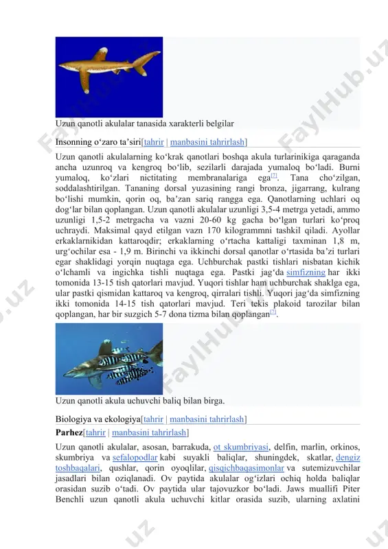 ]. oxirgi haqiqat ajablanarli, chunki yirtqichlar koʻpincha bu oltin-yashil baliqlarni yeyishadi[8]. 1988-yilda uzun qanotli akulalar uchuvchi kitlar hamrohligida kuzatilgan[9]. uzun qanotli akulalar tanasida xarakterli belgilar insonning oʻzaro taʼsiri[tahrir | manbasini tahrirlash] uzun qanotli akulalarning koʻkrak qanotlari boshqa akula turlarinikiga qaraganda ancha uzunroq va kengroq boʻlib, sezilarli darajada yumaloq boʻladi. burni yumaloq, koʻzlari nictitating membranalariga ega[7]. tana choʻzilgan, soddalashtirilgan. tananing dorsal yuzasining rangi bronza, jigarrang, kulrang boʻlishi mumkin, qorin oq, baʼzan sariq rangga ega. qanotlarning uchlari oq dogʻlar bilan qoplangan. uzun qanotli akulalar uzunligi 3,5-4 metrga yetadi, ammo uzunligi 1,5-2 metrgacha va vazni 20-60 kg gacha boʻlgan turlari koʻproq uchraydi. maksimal qayd etilgan vazn 170 kilogrammni tashkil qiladi. ayollar erkaklarnikidan kattaroqdir; erkaklarning oʻrtacha kattaligi taxminan 1,8 m, urgʻochilar esa - 1,9 m. birinchi va ikkinchi dorsal qanotlar oʻrtasida baʼzi turlari egar shaklidagi yorqin nuqtaga ega. uchburchak pastki tishlari nisbatan kichik oʻlchamli va ingichka tishli nuqtaga ega. pastki jagʻda simfizning har ikki …