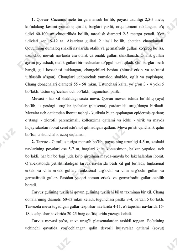 gi juda ko’p qirqilgan mayda-mayda bo’lakchalardan iborat. o’zbekistonda yetishtiriladigan tarvuz navlarida besh xil gul bo’ladi: funksional erkak va chin erkak gullar, funksional urg’ochi va chin urg’ochi gullar va germafrodit gullar. pastdan yuqori tomon erkak va germafrodit gullar ochilib boradi. tarvuz gulining tuzilishi qovun gulining tuzilishi bilan taxminan bir xil. chang donalarining diametri 60-63 mkm keladi, tugunchasi pastki 3-4, ba’zan 5 bo’lakli. tarvuzda meva tugadigan gullar tezpishar navlarida 4-11, o’rtapishar navlarida 15-18, kechpishar navlarida 20-25 barg qo’ltiqlarida yuzaga keladi. tarvuz mevasi po’st, et va urug’li platsentalardan tashkil topgan. po’stining uchinchi qavatida yog’ochlangan qalin devorli hujayralar qatlami (sovut) joylashgan, uning ostida ko’p qavatli parenximasi bo’ladi, shu parenxima meva etining parenximasiga aylanib boradi. meva etining parenximasida po’st parenximasi bilan qo’shilib ketgan platsentalar joylashadi. platsentalar butun meva bo’ylab tarmoqlangan, ularning shu tarmoqlarida urug’lar bo’ladi. tarvuz urug’lari tomirlar bilan tutashgan, bu tomirlar tarvuz mevasining markazida bir-biri bilan qo’shilib,tomir dastalarini hosil qiladi. 3. o’zbekistonda yetishtiriladigan qovoq …