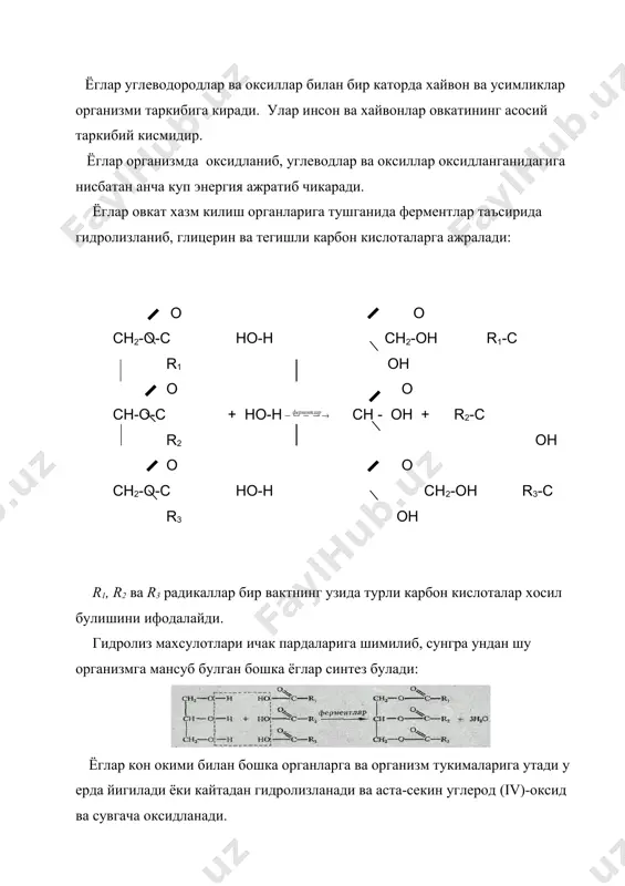 мураккаб эфирлар. ёглар - Page 5