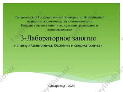 гаметогенез, овогенез и сперматогенез — PPTX