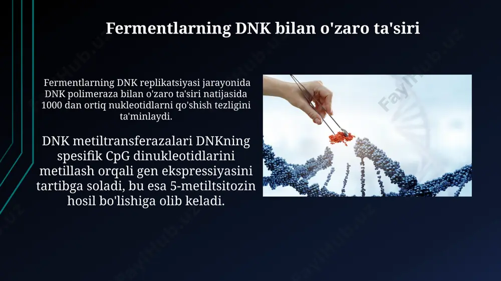 tasir mexanizmi (dnk, rnk fermentlariga nisbatan) - Page 4