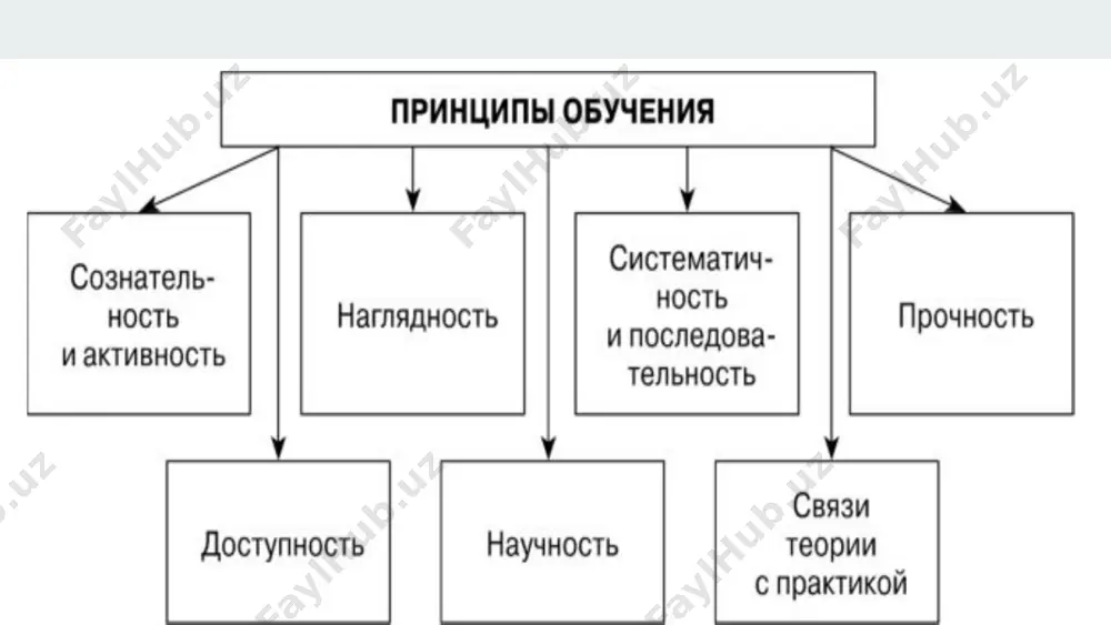 принципы обучения - Page 4