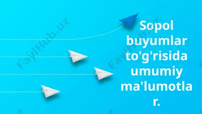 sopol buyumlar — PPTX