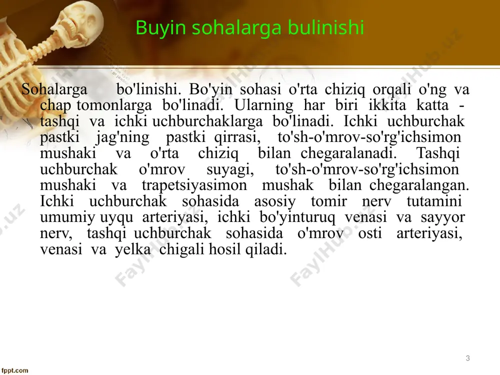 burchak til osti suyagidan o'tkazilgan gorizontal chiziq yordamida ikkita: regio suprahyoidea va regio infrahyoidea deb ataluvchi sohalarga ajraladi. birinchisida bitta engak osti va ikkita jag' osti sohalari tafovut qilinadi. bo'yinning oldingi to'rtburchagi bo'yinning oldingi sohasi (regio colli anterior) deb ataladi. bo'yinning to'sh-o'mrov-so'rg'ichsimon mushakiga mos keluvchi sohasi regio sternocleidomastoidea deb ataladi. bo'yinning tashqi uchburchagidan orqada bo'yinning orqa sohasi (regio colli posterior) joylashadi. 7 yuqorida aytilganidek, bo'yin fassiyalari to'g'ridan-to'g'ri yoki shoxlari yordamida umurtqalarning ko'ndalang o'siqlariga birikadi. shuning natijasida bo'yin oldingi va orqa bo'limlarga bo'linadi. bo'yin fassiyalari vena tomirlari devorlariga biriktiruvchi to'qima yordamida mustahkam birikkan bo'ladi va ular venoz tomirlar shikastlanganda ularning yopilib qolishiga yo'l qo'ymaydi. suning uchun bo'yinda, hatto kichik ve-nalar shikastlanishida ham, yurak o'ng bo'lmachasi yaqin joylashganligi va ko'krak qafasining havoni tortish xususiyati sababli havo emboliyasi juda oson yuz berishi mumkin. boʻyin fassiyalari 8 boʻyin fassiyalari m. sternocleidomastoideus m. trapezius 9 v.n.shevkunenko boʻyicha boʻyin fassiyalari 3 ta guruh: a) biriktiruvchi to‘qimali; …