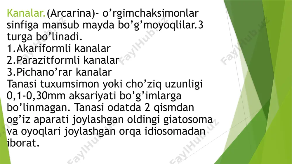 o’rgimchaksimonlar sinfiga umumiy tavsif - Page 5