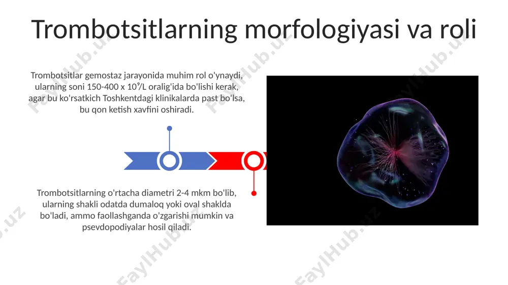ida o'tkazilgan tadqiqotlar natijalariga ko'ra, bu ko'rsatkich baland tog'lik hududlarda yashovchi aholi uchun biroz past bo'lishi mumkin. qonning tarkibiy elementlari nisbatida eritrotsitlar soni o'rtacha erkaklarda 4,5-5,5 mln/mkl, ayollarda esa 4,0-5,0 mln/mkl ni tashkil etadi, bu samarqand viloyati aholisi o'rganilgan namunalarida biroz yuqoriroq ko'rsatkichlarni berdi. qonning tarkibiy elementlarining nisbati qon kasalliklarining morfologik belgilar anemiya holatlarida, eritrotsitlarning o'rtacha hajmi (mcv) 80 fl dan pastga tushishi va rang ko'rsatkichi (mchc) 32% dan kam bo'lishi samarqanddagi bemorlarning tahlillarida aniqlandi. qon kasalliklarining morfologik belgilariga 20-30% gacha bo'lgan limfotsitlarning kamayishi, ayniqsa, t-hujayralarning soni pasayishi, toshkentdagi klinik tadqiqotlarda kuzatildi. qonning immunologik xususiyatlari qonning fagotsitoz faolligi, ya'ni bakteriyalarni yutish qobiliyati, 1 kub mm ga 6000-8000 leykotsit mavjudligida yuqori bo'ladi va farg'ona vodiysida yashovchi aholi orasida o'rtacha yuqori. qonning immunologik xususiyatlarini o'rganishda, 500 dan ortiq turli xil antitellarni aniqlash mumkin bo'lib, ularning 30 foizi samarqand viloyatida o'tkazilgan tadqiqotlarda aniqlangan. qonning koagulyatsiya tizimi qonning koagulyatsiya tizimida 12 ta asosiy koagulyatsiya …