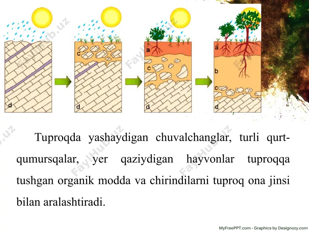 tuproqlar haqida tushuncha 7-sinf - Page 5