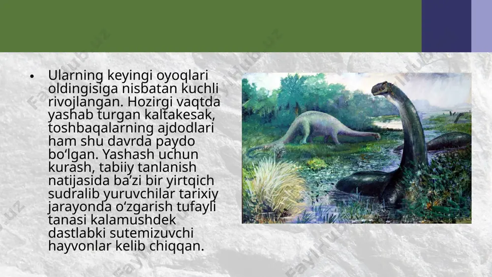 mezozoy, kaynazoy eralaridagi hayot. 10 - sinf - Page 3