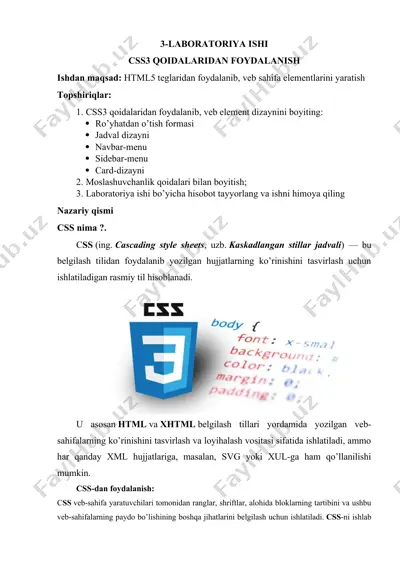 laboratoriya ishi - css3 qoidalari — DOCX