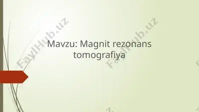 magnit rezonans tomografiya — PPTX