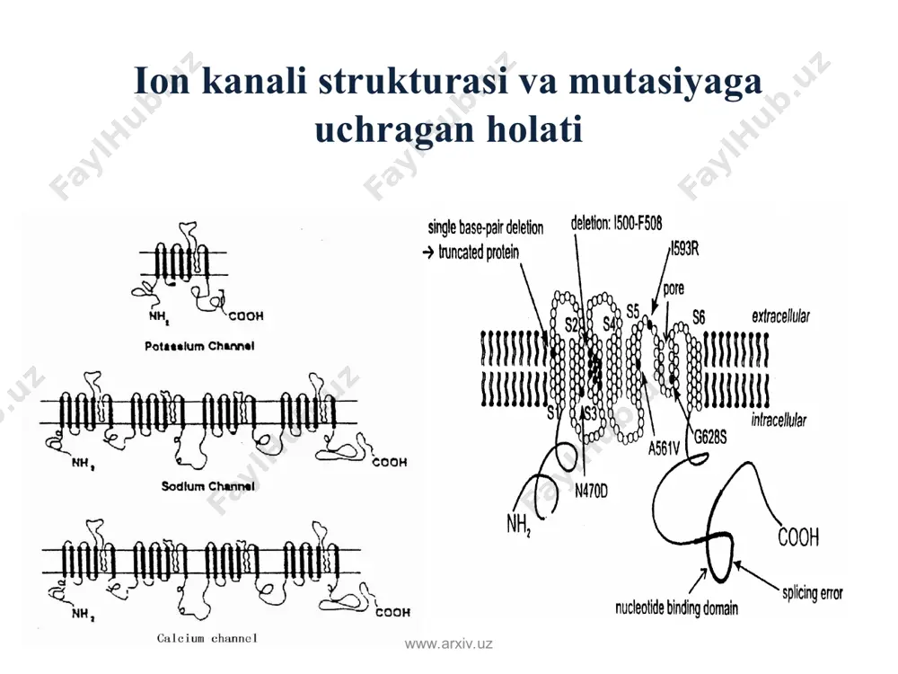 kanalopatiya muammosiga zamonaviy yondoshuv - Page 4