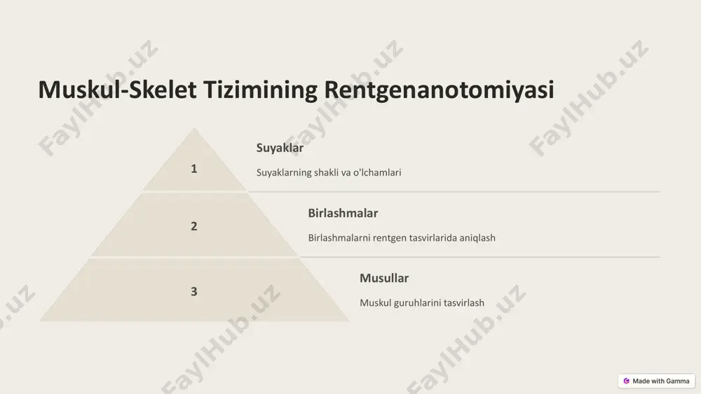2 s. – isbn 5-225-04403-4. •katsman a. ya. meditsinskaya rentgenotexnika. – myedgiz, 1957. – 647 s. foydalanilgan adabiyotlar: https://gamma.app/?utm_source=made-with-gamma http://xray.rusmedserv.com/history/ https://web.archive.org/web/20120122004244/http:/www.xray.rusmedserv.com/history/ https://uz.wikipedia.org/wiki/rentgenogramma#cite_ref-2 http://xray.rusmedserv.com/history/rus/ https://web.archive.org/web/20120417050845/http:/xray.rusmedserv.com/history/rus/ https://uz.wikipedia.org/wiki/rentgenogramma#cite_ref-3 https://naked-science.ru/article/column/tehnologii-meditsinskoj-diagnostiki-chto-novogo-my-uznali-vo-vremya-pandemii https://web.archive.org/web/20200809102950/https:/naked-science.ru/article/column/tehnologii-meditsinskoj-diagnostiki-chto-novogo-my-uznali-vo-vremya-pandemii https://uz.wikipedia.org/wiki/rentgenogramma#cite_ref-4 http://tass.ru/nauka/5372098 https://uz.wikipedia.org/wiki/tass https://web.archive.org/web/20180715151922/http:/tass.ru/nauka/5372098 rentgenanatomiya suyaklarning normal tuzilishi va patologik o‘zgarishlarini baholash imkonini beradi. bo‘g‘imlarning to‘g‘ri rentgen tekshiruvi klinik diagnostikada muhim ahamiyat kasb etadi. xulosa: https://gamma.app/?utm_source=made-with-gamma