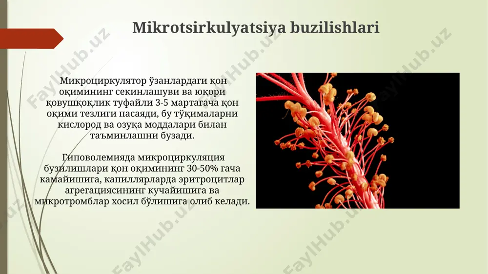 gipovolemiyalarda qon aylanishning ózgarishlari - Page 4