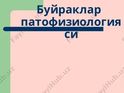 буйраклар патофизиологияси — PPT