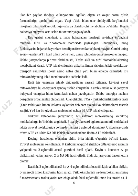 iy, to'rtta bo'linma mavjud. u silliq tashqi membranaga va yuqori darajada konvolutlangan ichki membranaga ega. ushbu konvolutsiyalar krizlarni keltirib chiqaradi. keyin u membranalararo bo'shliqqa ega va nihoyat, biz interyerda matritsaga egamiz mitoxondriya barcha hujayra organoidlaridan farq qiladi, chunki ularning o'ziga xos dnk to'plami mavjud. ular nihoyatda qiziqarli, chunki ular hujayra organoidlari bo'lsa ham, aslida hech qachon bir xil bo'lib boshlanmagan. olimlarning taxminlariga ko'ra, mitoxondriyalar aerob bakterial hujayralar bo'lib, https://uz.khanacademy.org/science/biology/cellular-respiration-and-fermentation/overview-of-cellular-respiration-steps/a/steps-of-cellular-respiration https://uz.khanacademy.org/science/biology/cellular-respiration-and-fermentation/overview-of-cellular-respiration-steps/a/steps-of-cellular-respiration 6 ular bir paytlar ibtidoiy eukaryotlarni egallab olgan va ovqat hazm qilish fermentlariga qarshi tura olgan. vaqt o'tishi bilan ular simbiyotik bog'lanishni rivojlantirdilar va ökaryotik hujayralarga oksidlovchi metabolizm qo'shdilar. keyin bakteriya hujayrasi asta-sekin mitoxondriyaga aylandi. eng qizig'i shundaki, u hatto hujayradan mustaqil ravishda ko'payishi mumkin. dnk va ribosomalar matritsada joylashgan. shuningdek, uning funktsiyasini bajarishda yordam beradigan fermentlar to'plami mavjud.garchi uning asosiy vazifasi atp hosil qilish bo'lsa ham, uning ichida bir qator jarayonlar mavjud. ushbu jarayonlarga piruvat oksidlanishi, krebs sikli va …