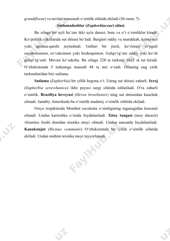 raziliya heveyasi (hevea brosiliensis) ning sut shirasidan kauchuk olinadi. janubiy amerikada bu o‘simlik madaniy o‘simlik sifatida ekiladi. osiyo tropiklarida monihot esculenta o‘simligining tugunagidan kraxmal olinadi. undan kartoshka o‘rnida foydalaniladi. xitoy tungasi (moy daraxti) aleurites fordii donidan texnika moyi olinadi. undan sanoatda foydalaniladi. kanakunjut (ricinus communis) o‘zbekistonda bir yillik o‘simlik sifatida ekiladi. undan muhim texnika moyi tayyorlanadi. image1.jpeg image2.jpeg image3.png