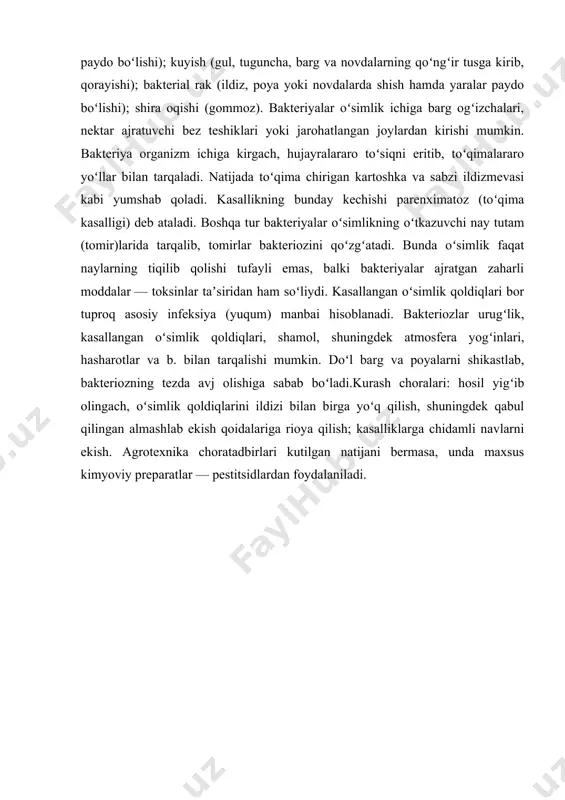otexnika choratadbirlari kutilgan natijani bermasa, unda maxsus kimyoviy preparatlar — pestitsidlardan foydalaniladi. 2.o’simliklarning bacterial va aktinomitsetli kasalliklari bakteriyalarning umumiy tavsifi. bakteriyalar bir hujayrali xlorofilsiz organizmlardir. bakteriyalar juda yupqa qobiq bilan o‘ralgan protoplazmadan iboratdir. ularning o‘lchami 0,06-0,3 dan 3,5 mikrongacha bo‘lishi mumkin. bakteriyalar ko‘pincha sharsimon, tayoqchasimon shaklga ega bo‘ladi. deyarli hamma bakteriyalar xivchinlarga ega bo‘lib, bu xivchinlar hujayraning bir yoki ikki uchiga, ayrim hollarda esa butun hujayra bo‘ylab joylashgandir. xivchinlar yordamida bakteriyalar harakatlanadi. xivchinga ega bo‘lmagan bakteriyalar harakatlanmaydi. fitopatogen bakteriyalarda bir qator fermentlar: proteaza, amilaza, protopektinaza va boshqalar bor. mavjud fermentlarning yuqori darajali faolligi tufayli bakteriyalar o‘simlik ichiga kirib, hujayra devorlarini yemiradi, hujayrani nobud bo‘lishi tufayli patologik jarayon kuzatiladi, bu esa kasallikni turli xil ko‘rinishlarida namoyon bo‘ladi. bakteriyalar o‘simlik ichiga turli yoriqlar, qirilgan joylar va boshqa mexanik shikastlangan qismidan hamda tabiiy tirqishlar ustida, checheviska orqali kiradi. o‘simliklarda bakteriyalar keltirib chiqaradigan kasalliklarni parenximali va parenximali– o‘tqazuvchi to‘qima kasalliklariga bo‘lish mumkin. yer yuzida …