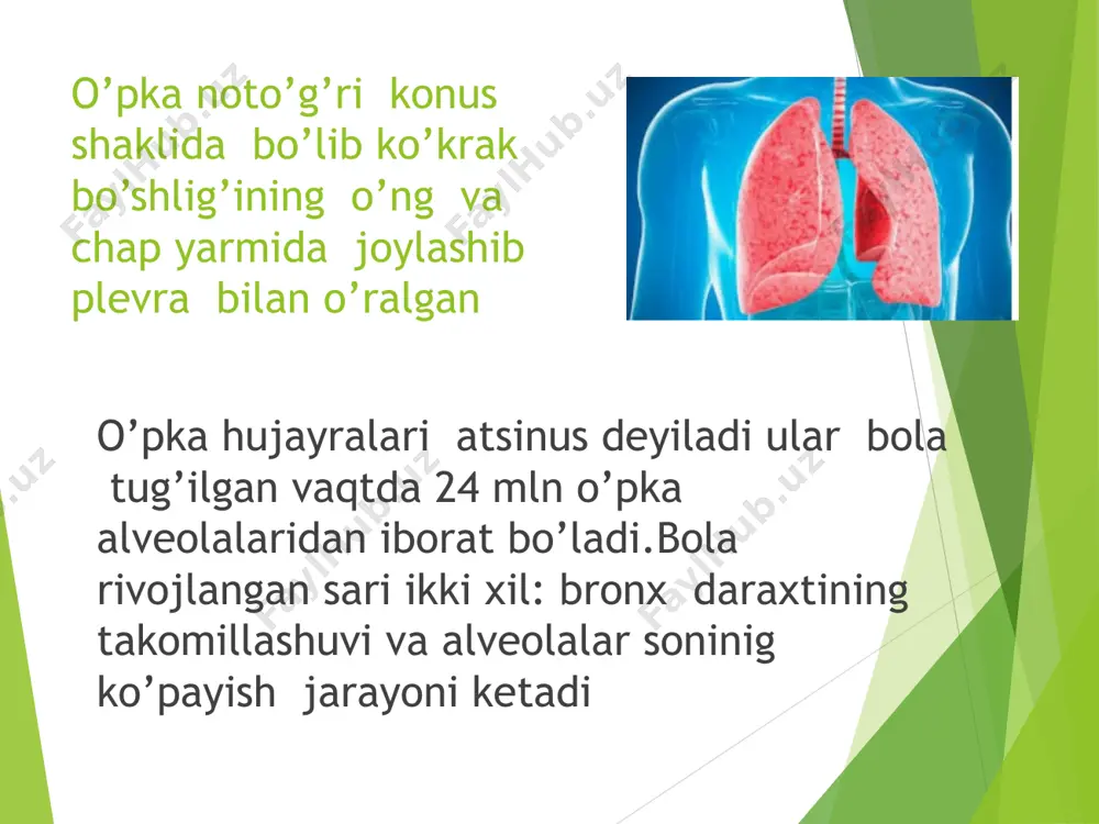 ar – berodual; fenoterol, salbutamol, terbutamol (uzok ta'sir etuvchi turlari – saltos, volmaks); gks iii. boshqalar – iztirobli yo`talda geparin –mikrosirkulyasiyani yaxshilash uchun prognoz chekish, boshqa qitiqlovchilar ta'siri to`xtatilmasa, infeksion xurujlar davolanmasa surunkali obstruktiv bronxit rivojlanib boraveradi. bu, shuningdek, bemorning yoshiga, kasallik aniqlangan vaqtdagi 1 sekundda chiqarilgan umumiy nafas ulushining kamayish darajasi, jarayon kechishi turiga bog`liqdir. tamaki tarkibida nikotin moddasi bo’lib u tomirlarni toraytiradi arterial bosimni oshiradi, nerv sistemasini qo’zg’atadi nikotin neyroadaptatsiyani keltirib chiqaradi chekish oqibati yurak ishemik kasalligi aorta anevrizmasi bronxit o’pka emfizemasi o’pka raki siydik pufagi raki oshqazon osti bezi raki bronxial astma buyraklar raki qizilo’ngach raki o’zing tanla!!! e’tiboringiz uchun raxmat