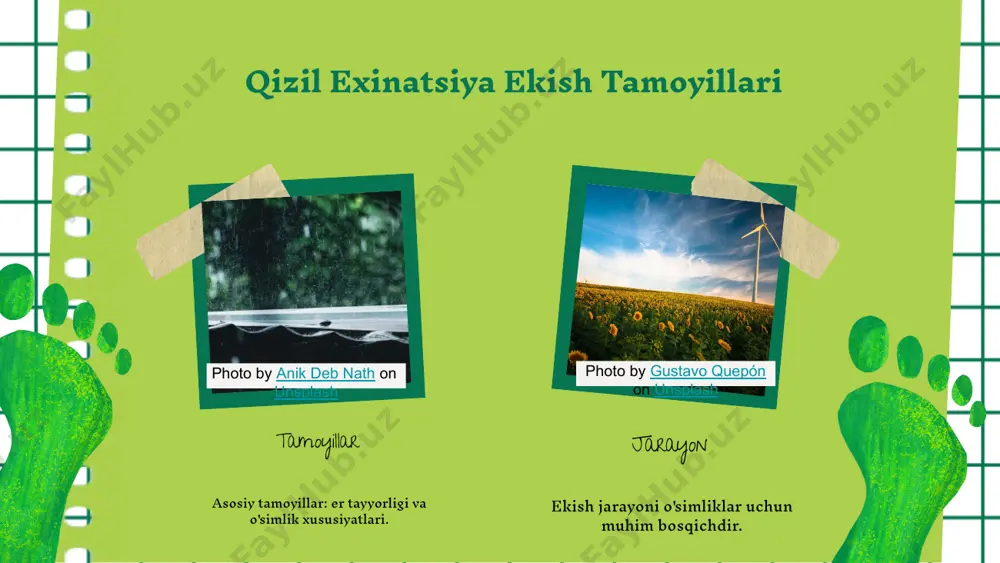 tizimining barqarorligini ta'minlaydi. xulosa qisq. qizil exinatsiya ekish tamoyillari va jarayonining ahamiyati. tavs. ekish jarayoni uchun tuproq va iqlim sharoitlarini tahlil qilish zarur. photo by anik deb nath on unsplash photo by gustavo quepón on unsplash e'tiboringiz uchun rahmat! image1.png image2.png image3.png image4.png image5.png image6.png image7.png image8.png image9.png image20.jpg image21.jpg image10.png image11.png image12.png image18.png image16.png image19.png