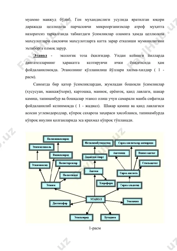 рияни энергия манбаи сифатида қўллаш мумкинлиги исботлаб берилган. водород - келажак ёқилғиси ҳисобланади. водородни - кимёвий ва электрокимёвий усулларда олиш иқтисодий самарасиздир. шунинг учун ҳам кейинги вақтларда мутахассислар эътиборни водород ажратувчи микроорганизмларга қаратишди. ўтган асрнинг 60- йилларининг бошларидаёқ исмалоқ (шпината) хлоропластлари сунъий электрон донорлари ва гидрогеназа ферменти сақловчи бактерияларни экстрактлари иштирокида водород чиқариши аниқланган эди. бу тизимни қуйидагича изоҳлаш мумкин: электронлар донори е- 1-фототизим е- электрон ўтказгич е- гидрогеназа қ h2. гидрогеназа электронларни ферредоксиндан оладилар. ушбу тажрибада хлоропластлар таъсирида сувни фотолизи пасайтирилган водород манбаи бўлиб органик моддалар хизмат қилишган ва улар электрон донорларни сифатида ишлатилган. бу хусусият хемотроф бактериялар, цианобактериялар, баъзи бир сув ўтлари ва содда ҳайвонларга ҳам хосдир. ҳозирги вақтда водород ишлаб чиқаришнинг биотехнологик тизимини кўрсатиб берувчи бир қанча вариантлар таклиф этилган олимлар ҳозиргача микроорганизмлар ва ўсимликларда фотосинтез самарадорлигини ошириш муаммосини ҳал этиш бўйича ҳам катта муваффақиятларга эришганларича йўқ. бу соҳада олиб бориладиган илмий тадқиқотлар фотосинтезловчи микроорганизмларнинг турли хил …
