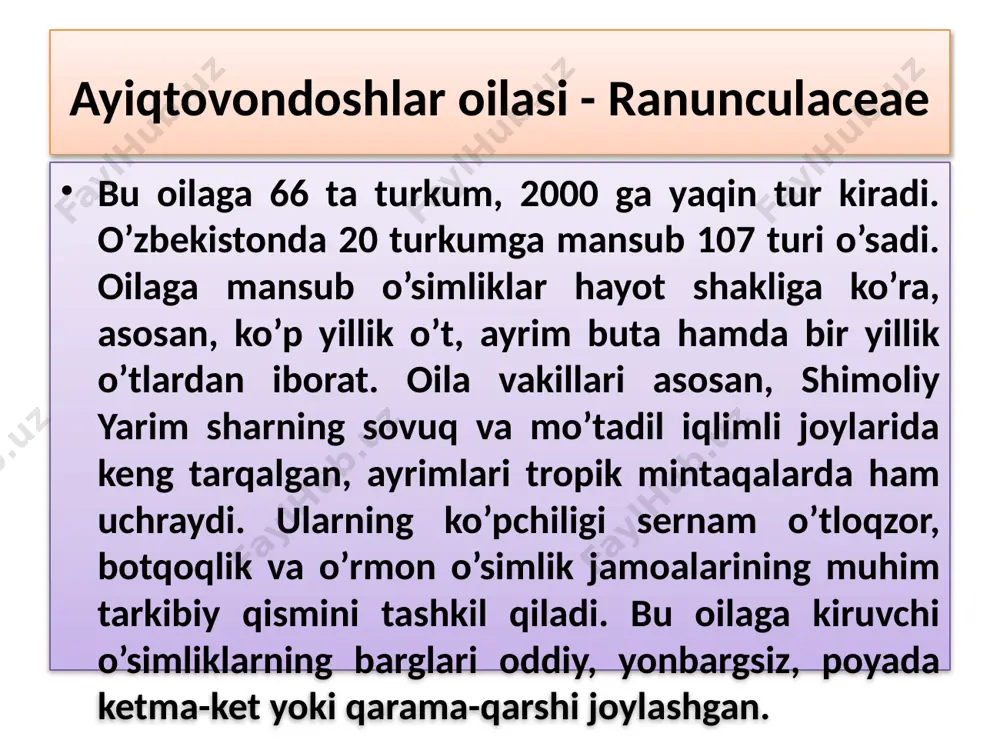 qora zirk-berberis oblonga ziravor meva sifatida ishlatiladi. zirkning gul formulasi : * ♀♂ са3+3со3+3 а3+3g1 image1.jpg
