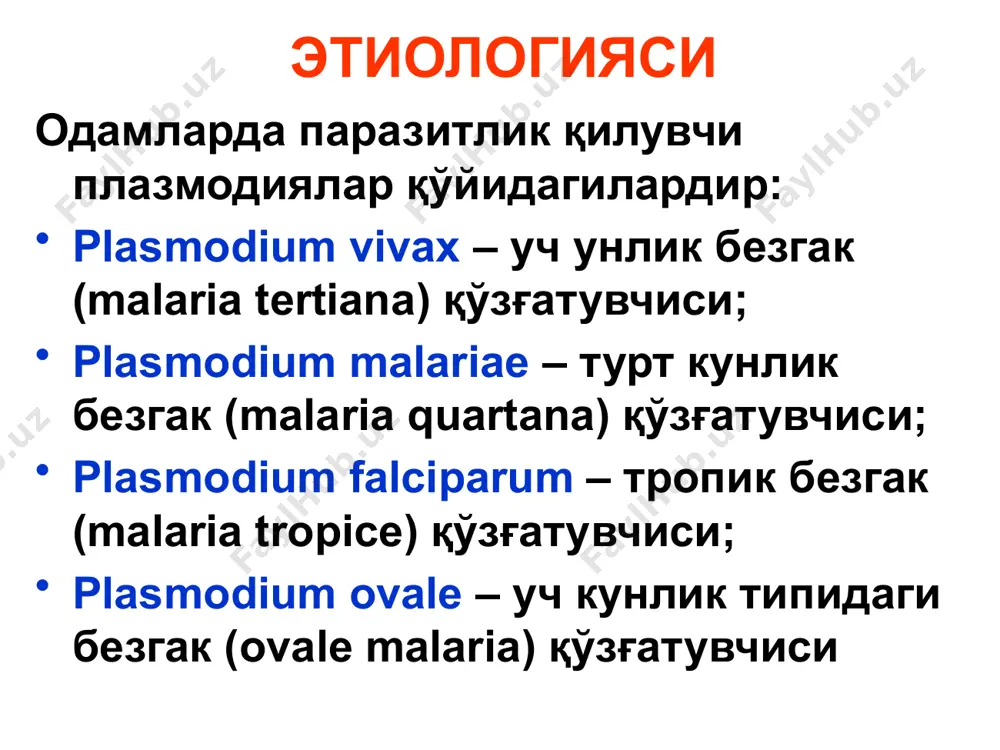 ашқари йўллар билан юққан безгак, шизонтли безгак деб аталади. бундай юқиш кўпроқ тўрт кунлик безгакга хос. безгакнинг тарқалиши патогенези ва патологик анатомияси. ҳозирги умумий адаптацион синдром тушунчасига кўра, безгак ҳуружи, пироген факторлар мажмуининг (мерозоитларни ва хусусий оқсилни парчаланишидан ҳосил бўлган бегона оқсил, безгак пигменти, безгак токсини, эритроцит бўлаклари, безгак пигменти – гемомеланин) патоген таъсирига бўлган, макроорганизмнинг носпецифик жавоб реакциясидир. маълумки, безгак плазмодияларини одам организмига тушгандан кейинги бошланғич ривожи ва кўпайиши жигарнинг паренхиматоз ҳужайраларида кечади. бундай кўпайиш – преэритроцитар (экзоэритроцитар) ёки тўқима шизогонияси деб юритилади. лекин бу паразитлар орасида антогонистик муносабатлар мавжуд. иситма ҳуружларини тартибсиз бўлиши, иммунологик система фаолияти бузилганда ёки қўшимча (иккиламчи) инфекция қўшилганда ҳам кузатилиши мумкин. иситма ва касалликнинг бошқа бирламчи белгилари, қонда парчаланган эритроцитлар сони маълум бир даражага – пироген бўсағага (пироген реакция юзага келиши учун зарур бўлган паразитемия даражаси) етган тақдирдагина юзага келади. безгакда албатта, қон-томир деворлари, айниқса капиллярлар жароҳатланади ва оқибатда қон димланиши, эритроцитар тромбларни пайдо …