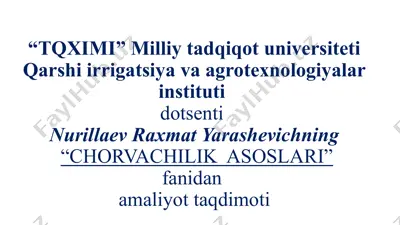 chorvachilik asoslari — PPTX