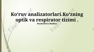 koʻruv analizatorlari.koʻzning optik va respirator tizimi — PPTX