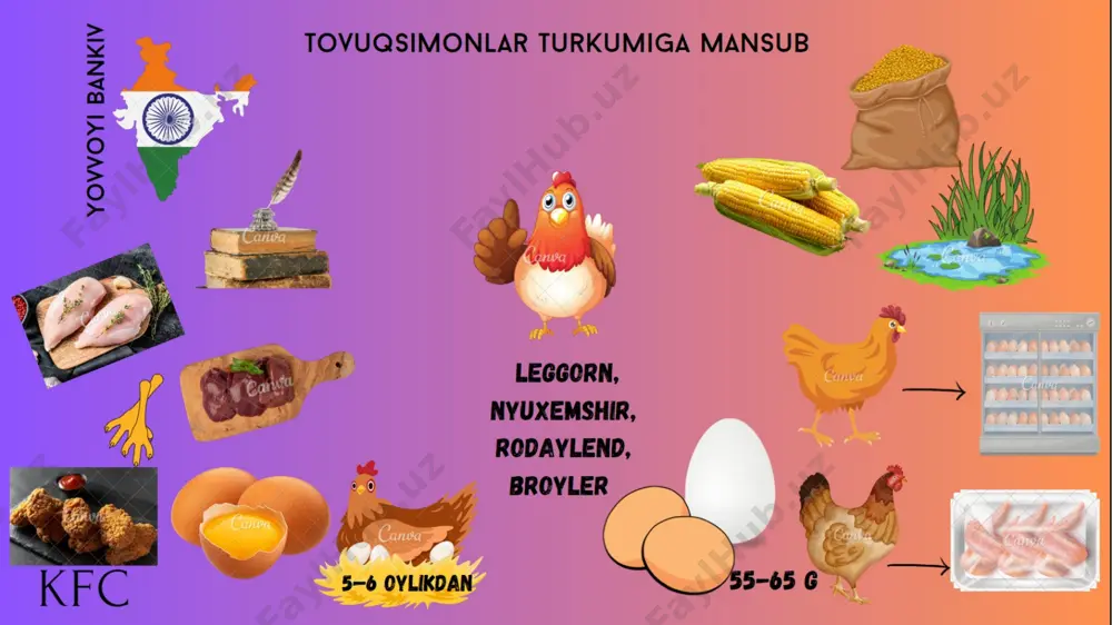 lorem ipsum mahsuloti - Page 4