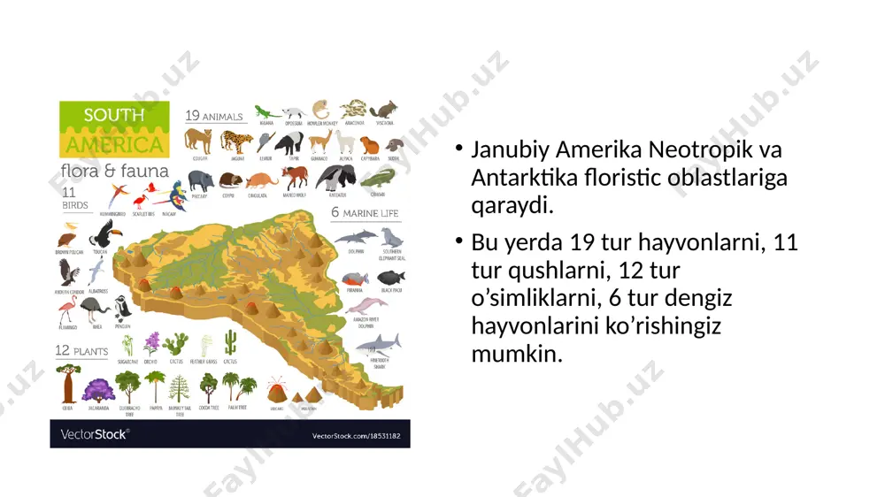 janubiy amerika flora va faunasi - Page 3