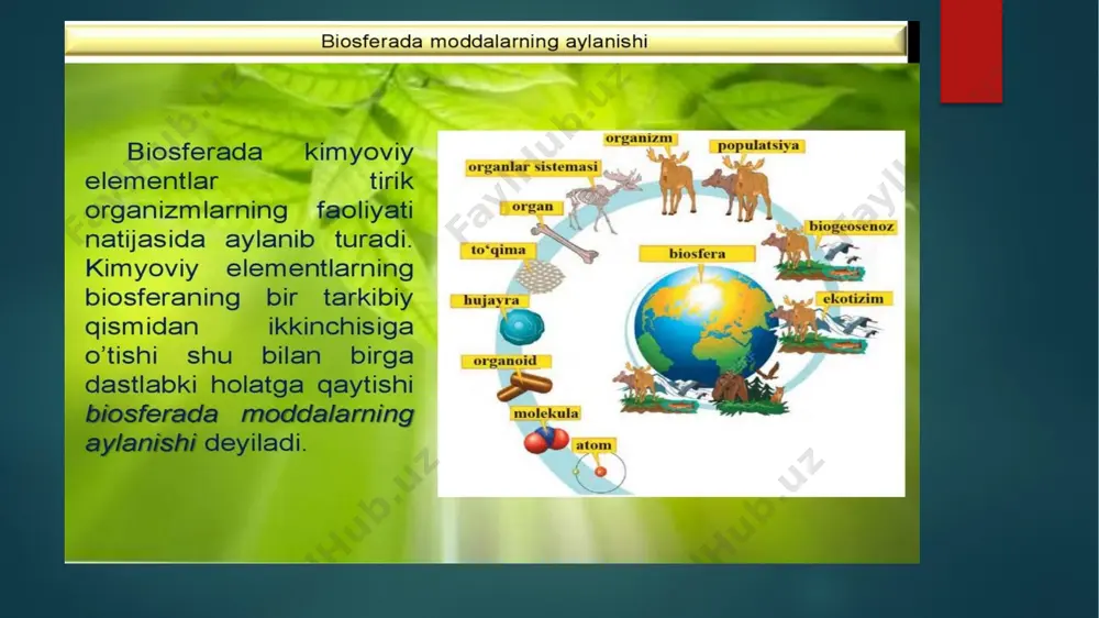 lash mumkin. bu dars juda qziqarli o`tdi. foydalanilgan adabiyot 1)andmi.hemis.uz 2) vekipediya image6.png image7.png image2.png image3.png image4.png image5.png /docprops/thumbnail.jpeg