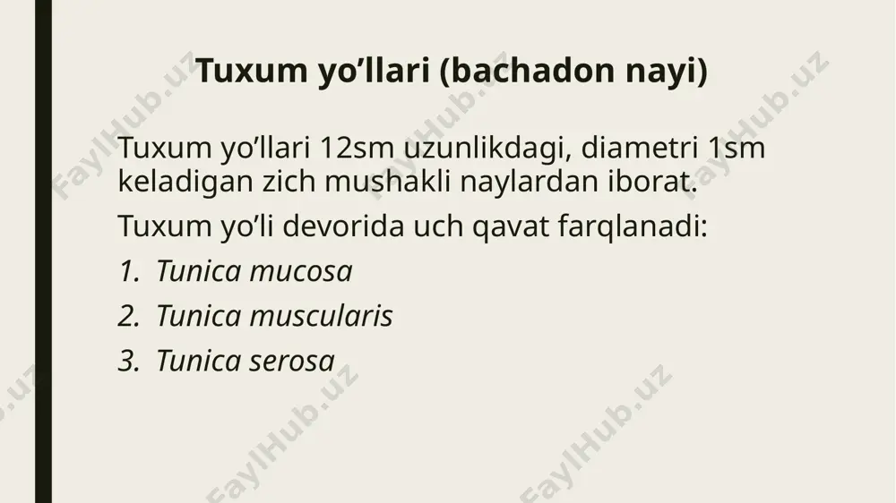ayollar reproduktiv sistemasi - Page 3