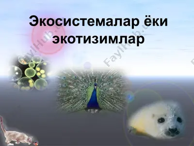 экосистемалар ёки экотизимлар — PPTX
