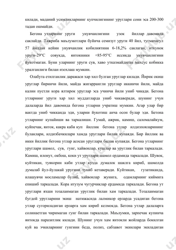 она утлар далаларга солинаетган чиримаган гунг билан таркалади. маълумки, зарпечак купинча янтокда паразитлик килади. шунинг учун хам янтокли жойларда бокилган куй ва эчкиларнинг гунгини беда, полиз, сабзавот экинлари экиладиган ерларга солиш ана шу экинларни зарпечак босишга олиб келади. ажрик, гумай, камиш каби бегона утларнинг илдизпоялари кишлок хужалик машиналарининг ишчи органларига илашиб таркалишн хам мумкин. ана шу утлар бор жойларни дискли бороналарда бороналаш илдизпояларни майда булакларга булиниши ва бир канча янги усимликлар пайдо булишига олиб келади. бегона утларнинг биологик хусусиятларини яхши билиш кураш чораларини самарали утказишни режалаштириш имконини беради. 3. бегона утлар классификадияси. узбекистонда бегона утларнинг 72 та оилага мансуб булган 841 тури учрайди. шундан 519 тури бир йиллик 322 тури куп йиллик усимликлардир. ишлаб чикариш шароитида эса, уларнинг мухим биологик хусусиятлари, яъни озикланиши яшаш даври ва купайиш усулига кура куйидаги классификация мавжуд. нопаразит бегона утлар: бу гурухга яшил баргга ва илдиз сис-темасига эга булган хамда тупрокдаги сув озик моддани бевосита …