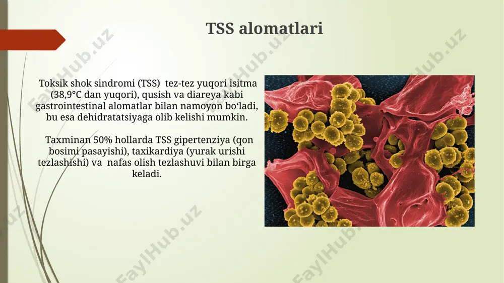 elib chiqadi. qo'shimcha ma'lumotlar toksik shok sindromi (tss) holatlarining 90% dan ortig'i tamponlardan foydalanish bilan bog'liq bo'lib, ayniqsa yuqori emilimli tamponlar xavfli hisoblanadi. staphylococcus aureus va streptococcus pyogenes bakteriyalarining toksinlari tss rivojlanishiga olib kelishi mumkin, bu bakteriyalar tanaga turli yo'llar orqali kirishi mumkin. homiladorlik davrida tss homiladorlik davrida tss xavfi 10000 ta tug‘ruqning 1-3 tasida kuzatiladi, bu esa kam uchraydigan, ammo jiddiy asorat hisoblanadi. homilador ayollarda tssning klinik ko‘rinishi, isitma (38,9°c dan yuqori), qusish va diareya kabi alomatlar bilan ifodalanadi, shuningdek, septik shok rivojlanishi mumkin. e'tiboringiz uchun rahmat @taqdimot_robot image1.jpg image2.jpg image3.jpg image4.jpg image5.jpg image6.jpg image7.jpg image8.jpg image9.jpg image10.jpg image11.jpg image12.jpg