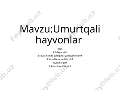umurtqali hayvonlar — PPTX